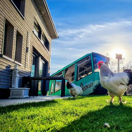 Exklusives Holzhaus Mit Bergbahn - Baden-Baden Im Schwarzwaldヴィラ エクステリア 写真